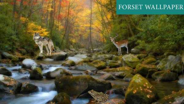 Forest 3D Live Wallpaper screenshot 5