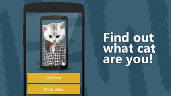 Face scanner: What cat 2 screenshot 1