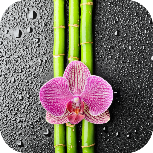 Orchid And Bamboo Wallpaper icon