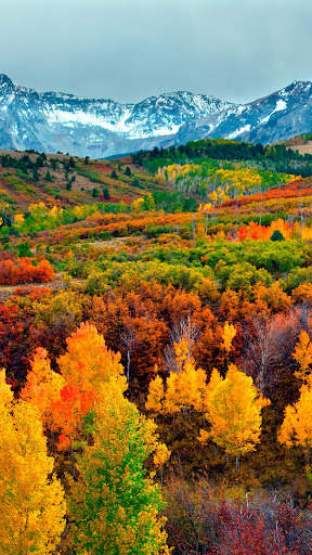 Autumn wallpaper screenshot 8