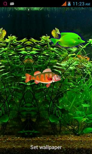 Aquarium Live Wallpaper! screenshot 4
