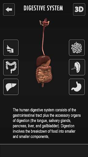 Female Anatomy 3D : Female Body Visualizer screenshot 4