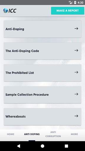ICC Integrity screenshot 2