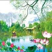 Lotus Ponds 3D Live Wallpaper 1.01