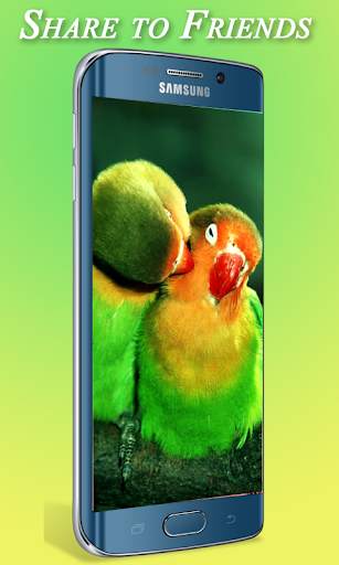 Bird Wallpaper HD скриншот 3