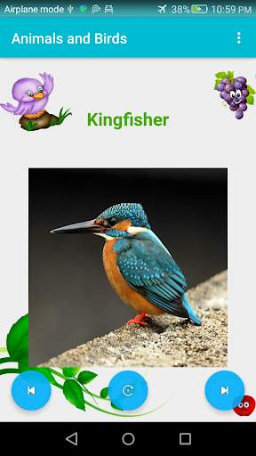 Name of Animals and Birds screenshot 2