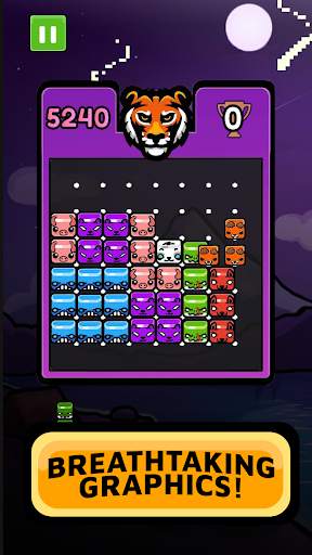 Pet Block Puzzle 🐥 Free Classic Puzzle Game 2020 screenshot 4