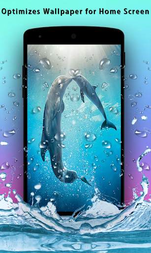Dolphins Live Wallpaper screenshot 6
