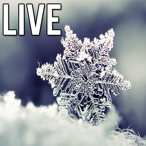 Live Snow Wallpapers 1.1