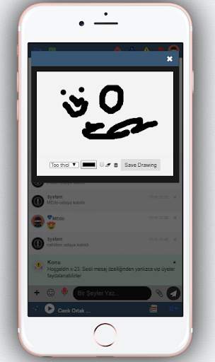 chat screenshot 2