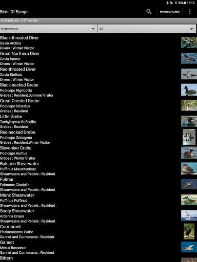 Birds Of Europe Guide स्क्रीनशॉट 8