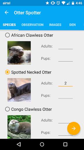 Otter Spotter screenshot 5