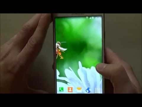 Daisies Flowers Live Wallpaper screenshot 1