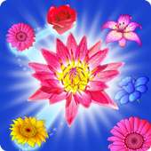Blossom Blast Crush Mania logo