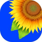 Gallery 1.3.1