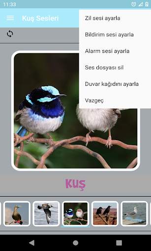 Kuş Sesleri स्क्रीनशॉट 8