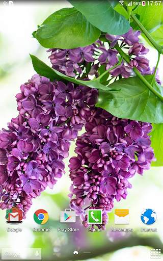 Lilac live wallpaper screenshot 6