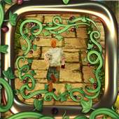guide for Temple Run 2 1.0