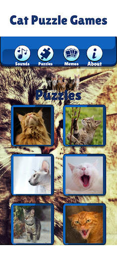 Kitty Cat Games For Kids Meow screenshot 3