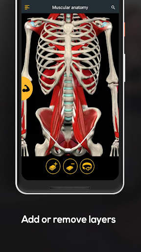 Anatomy by Muscle & Motion screenshot 7