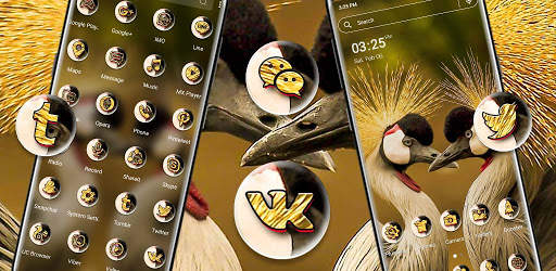 Grey Crowned Crane Launcher Theme screenshot 6