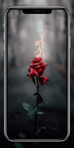 4k HD Wallpapers and Backgrounds For Mobile screenshot 5