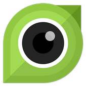 P Camera