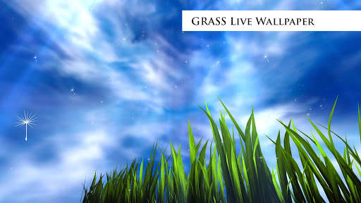 3D Pumpkins Grass FREE screenshot 14