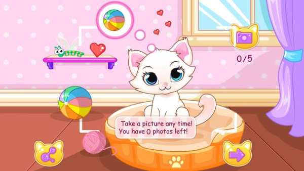 My Kitty Album screenshot 7