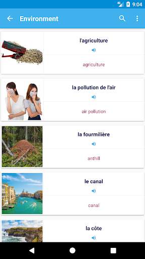 French Vocabulary By Topics (With Pictures) screenshot 6