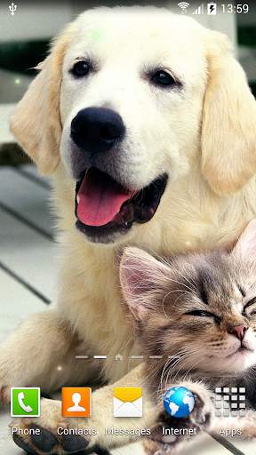 Cat Live Wallpaper screenshot 7