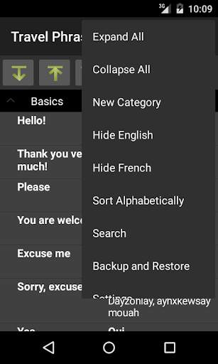 Travel Phrases - French Lite screenshot 3