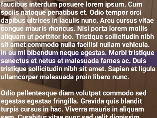 Speechix - Teleprompter Camera screenshot 5
