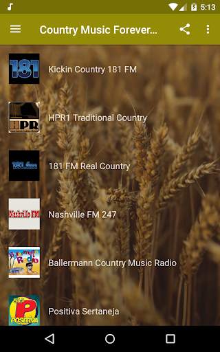 Country Music Radio - Western, Southern, Hillbilly screenshot 1