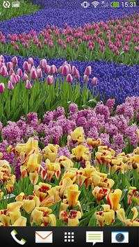 Spring Flowers Backgrounds HD screenshot 2