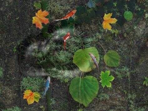 Water Koi Fish Pond LWP screenshot 11