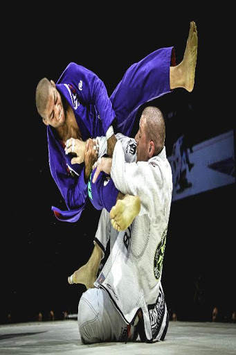 Jiu Jitsu Guide скриншот 1