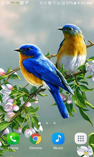 Loving Bird Live Wallpaper screenshot 2