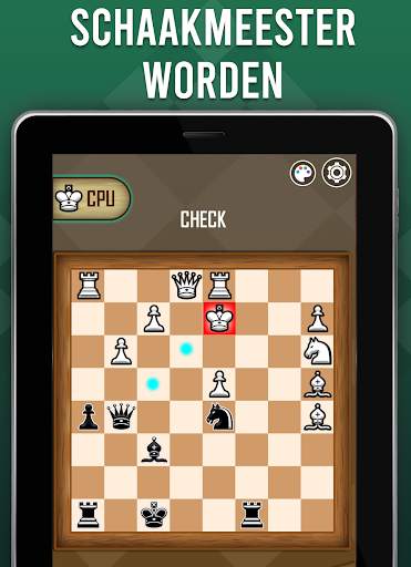 Schaken - Strategisch bordspel screenshot 11