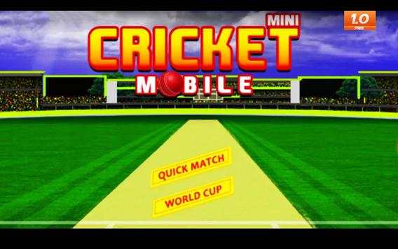 Mini Cricket Mobile screenshot 8