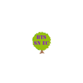 BTS Systèmes Numériques icon