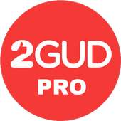 2Gud Pro