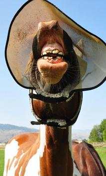 Funny Horses Jigsaw Puzzles screenshot 2