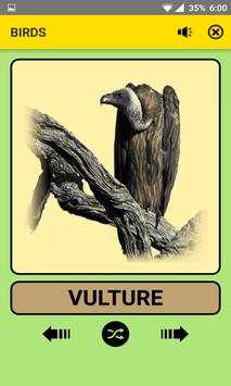 Animals and Birds For Kids : Educational Game screenshot 8