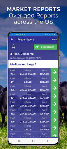 Cattle Market Mobile screenshot 2