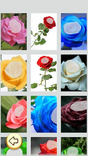 Photo Editor - Rose Photo screenshot 2