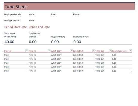 Radymade Excel Templates 23 تصوير الشاشة