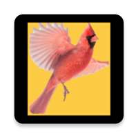 CARDInal-Bee icon