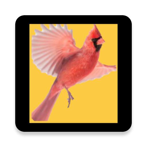 CARDInal-Bee 1.0