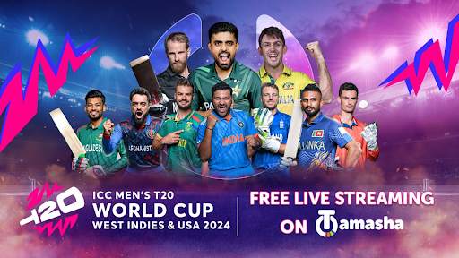Tamasha: ICC Cricket World Cup screenshot 17
